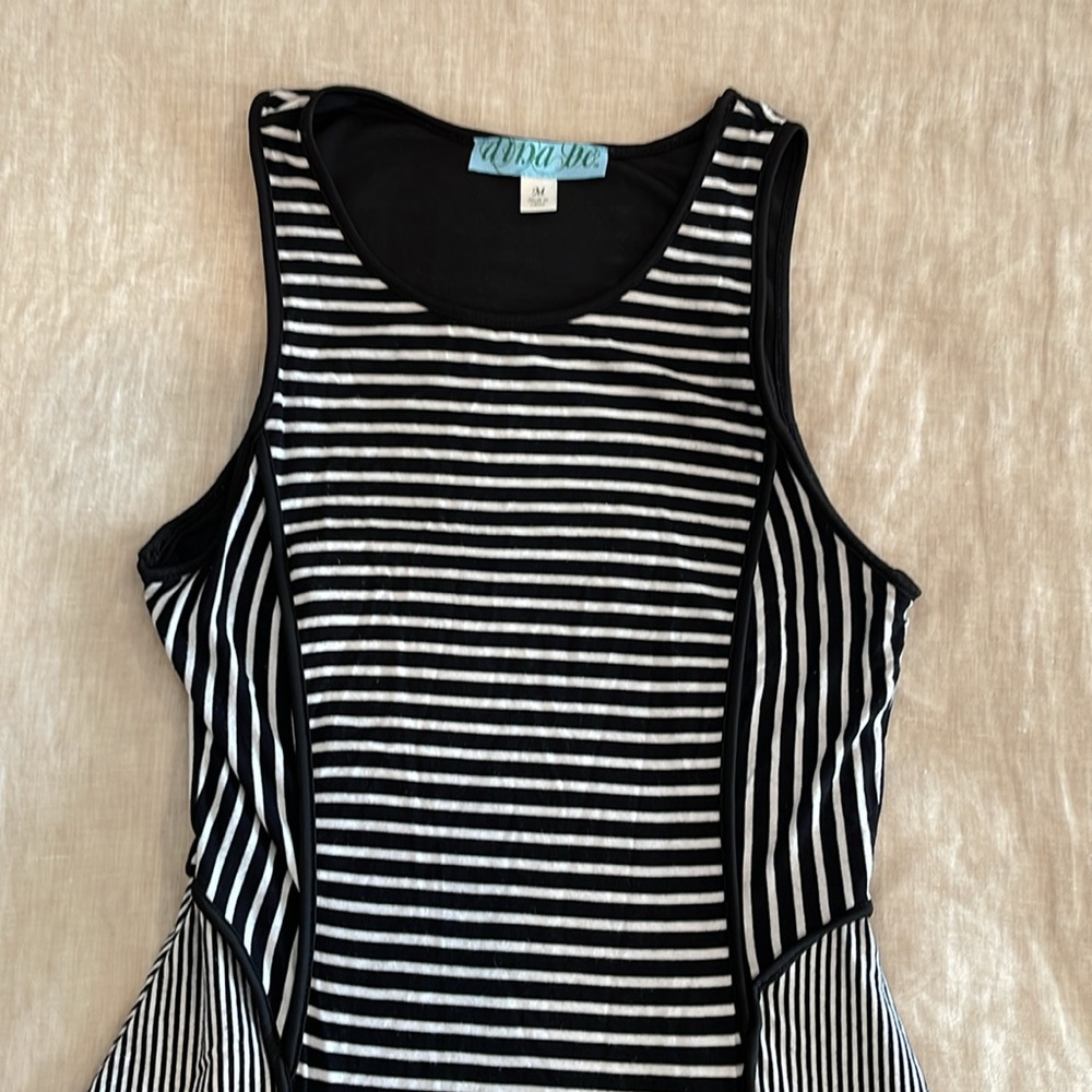 Sleeveless Striped Black and White Fit and Flare High Neck Dress - Picture 3 of 5